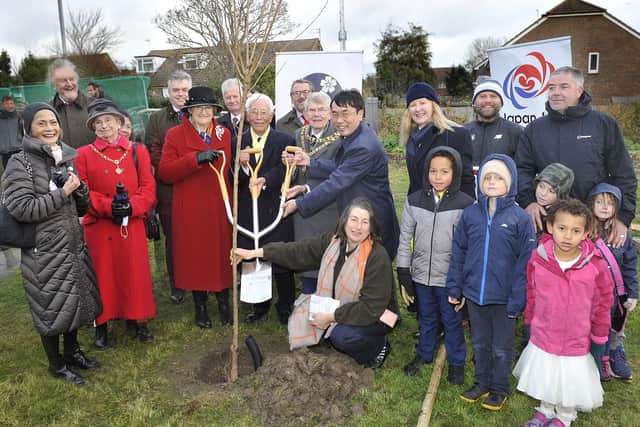 Fifty cherry blossom trees have been planted in Eastbourne in a special ceremony to celebrate the enduring friendship between Japan and the UK. Photo by Mark Dimmock. SUS-211130-123732001