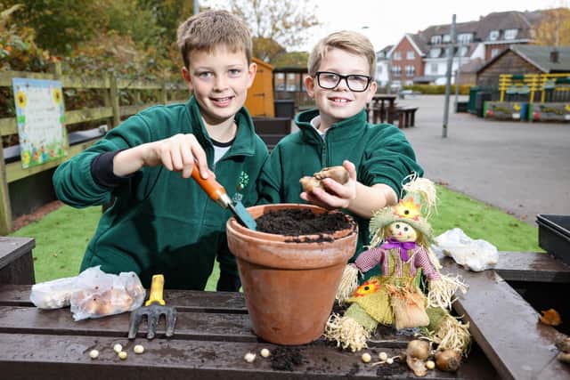 Barratt Homes donated a selection of flower bulbs to Bolnore Primary School, which is a few minutes away from the housebuilder’s Wychwood Park development on Rocky Lane, Haywards Heath. Picture: Building Relations PR.