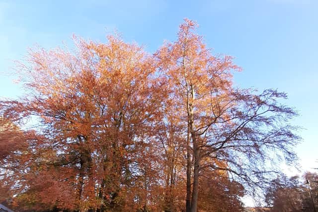 We list the top 12 walks to go on in Crawley