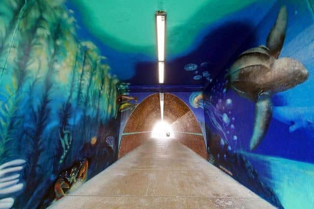 Two iconic murals painted in Saltdean tunnel