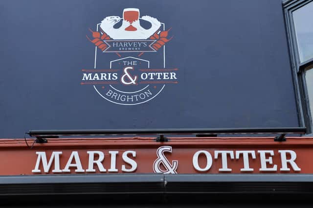 Maris and Otter Pub on Western Road (Pic by Jon Rigby)
