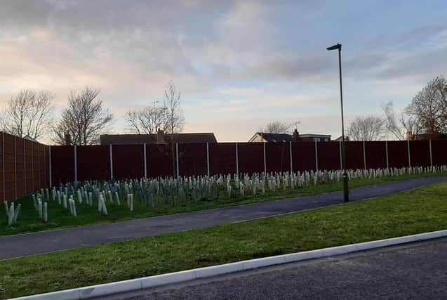 New acoustic fencing for Fitzalan Link Road right behind properties' back gardens