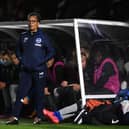 Brighton and Hove Albion head coach Hope Powell was unimpressed by the team's display in the WSL against Man United