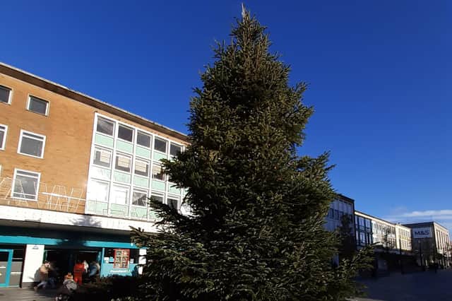 The Christmas tree on display in the Town centre