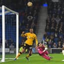 Enock Mwepu blazes over from close range against Wolves at the Amex Stadium