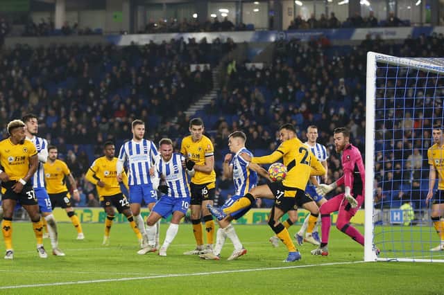 Brighton failed to test José Sá as Wolves saw out a 1-0 win at the Amex (Photo by Steve Bardens/Getty Images)