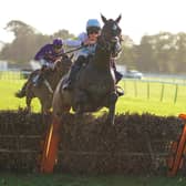 They race at Fontwell Park on Boxing Day / Picture: Getty