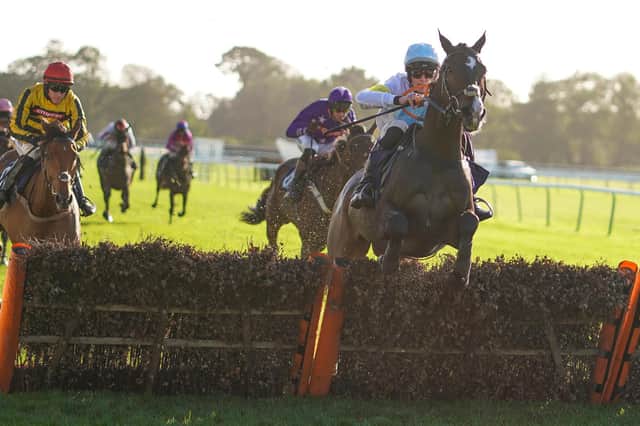 They race at Fontwell Park on Boxing Day / Picture: Getty