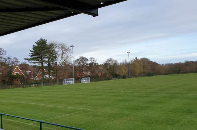 Home sweet home - the view from the new stand at Little Common