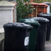 Rubbish bins in Brighton (pic by Jon Rigby)