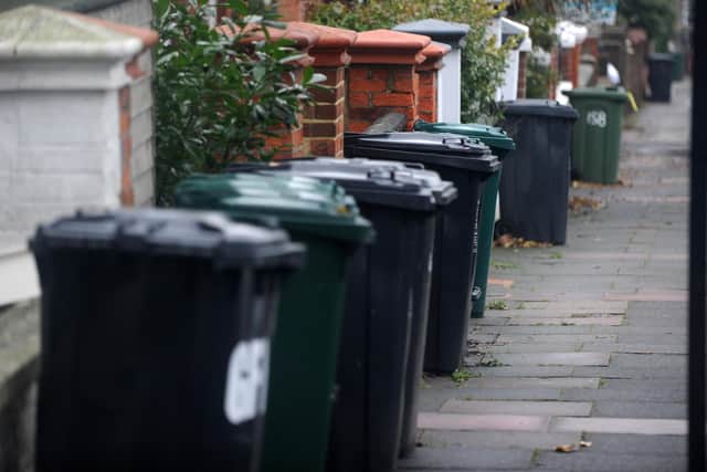 Rubbish bins in Brighton (pic by Jon Rigby)