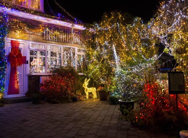 Susan and John Price have put a up a spectacular Christmas lights display at their home in St Peter's Road, Burgess Hill, to raise money for Woodlands Meed School. Picture: Eddie Howland.
