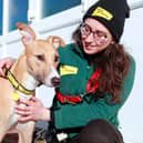 Biggles is Dogs Trust's Dog of the Week and is looking for a new home.