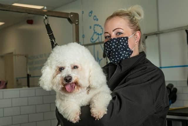 Pet groomer Vanessa Holland with Bella at Pets at Home in Brighton, December 9 2021. Photo by Adam Hughes. SUS-211223-152239001