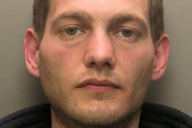 Michael Green was sentenced to two years' imprisonment, Sussex Police said.