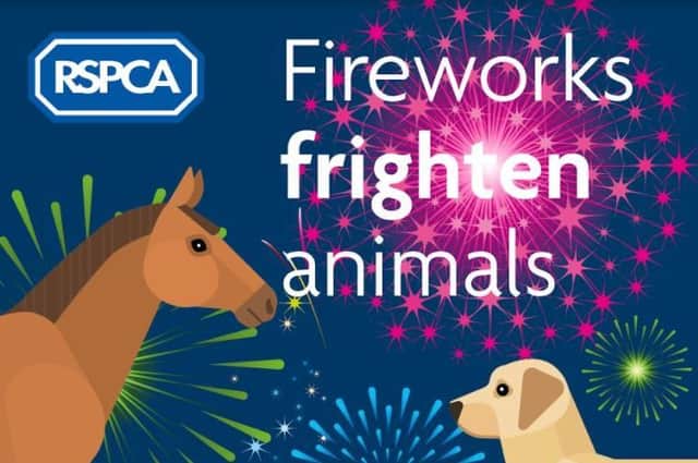 With many large public displays cancelled this year the charity fears people will be taking to DIY firework displays in their gardens and neighbouring animals could be left shaken or injured as a result.
