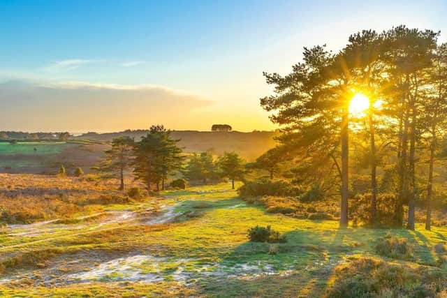 The consultation was launched in response to Ashdown Forest needing increased funding.
