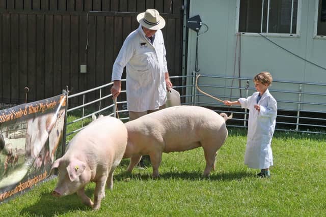 DM21060512a.jpg. South Of England Show 2021. Photo by Derek Martin Photography. SUS-211206-201014008