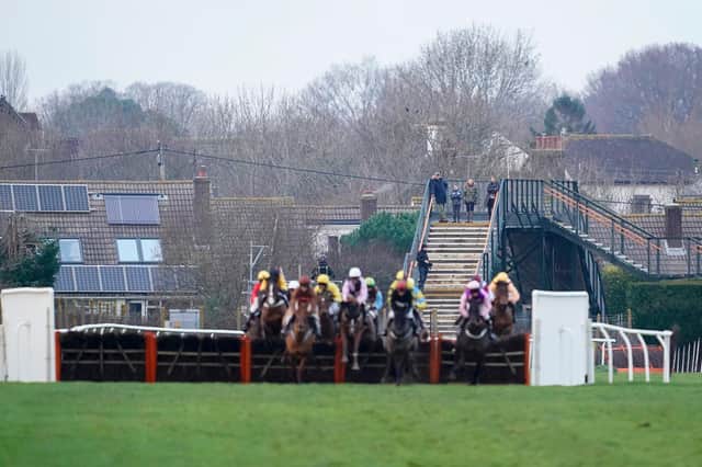 They race at Plumpton on Sunday afternoon