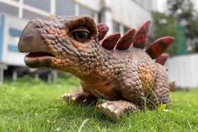 Dinomania gives children the opportunity to get up close to large walking dinosaurs