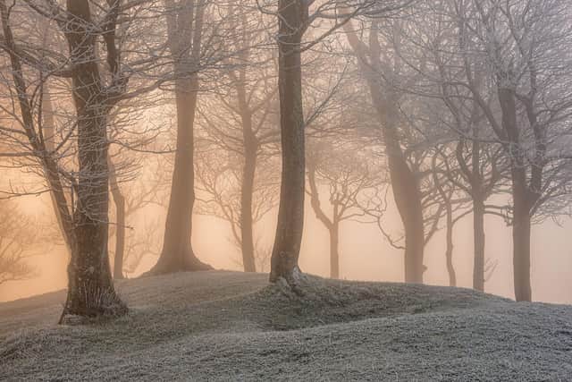Fire & Ice by Jamie Fielding -  1st place in South Downs National Park Photo Competition 2021 2022.
