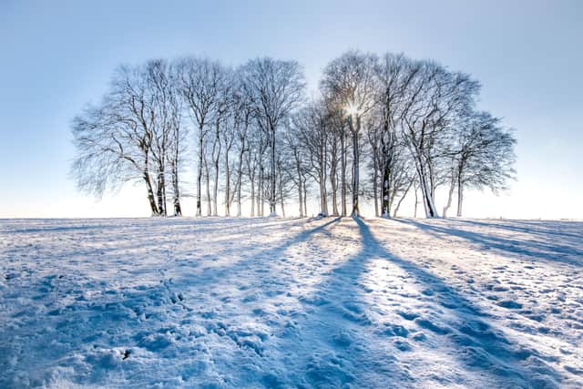 Cheesefoot Head in Winter by Ron De'Ath Highly Commended in South Downs National Park Photo Competition 2.