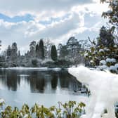 Sheffield Park has once again commissioned community artist, Roy Kelf, of Kelf Kreations, to create the centrepieces of the trail depicting the characters and ice landscapes Nellie encountered on her Arctic adventure.