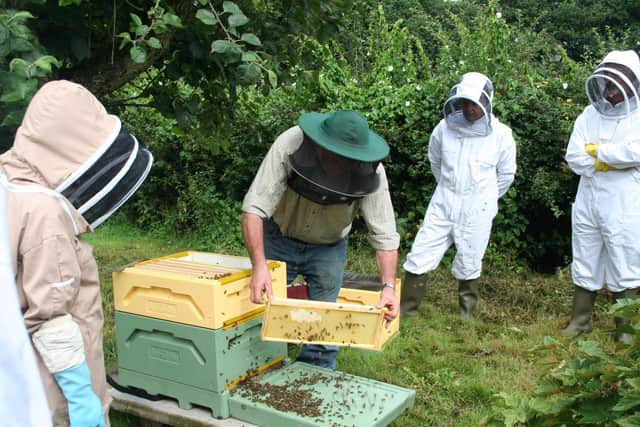 Wisborough Green Beekeepers Association