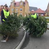 Rotarians Ken Collins and John Ollerton collecting Christmas trees for recycling.