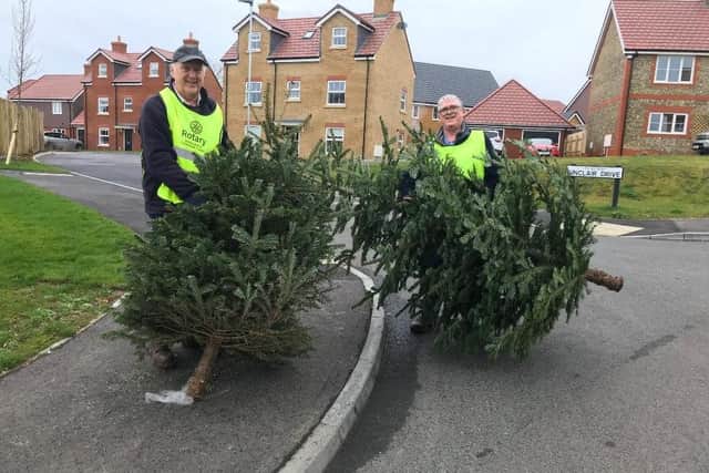 Rotarians Ken Collins and John Ollerton collecting Christmas trees for recycling.