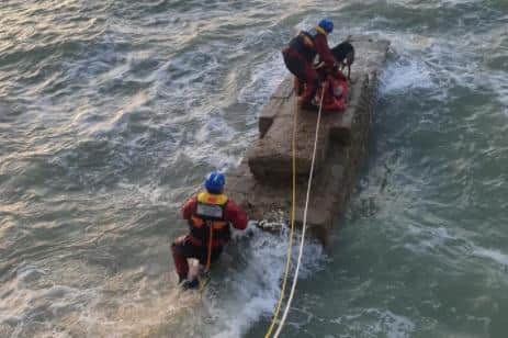Two rescue swimmers were deployed to secure and rescue the dog. Photo: Newhaven Coastguard