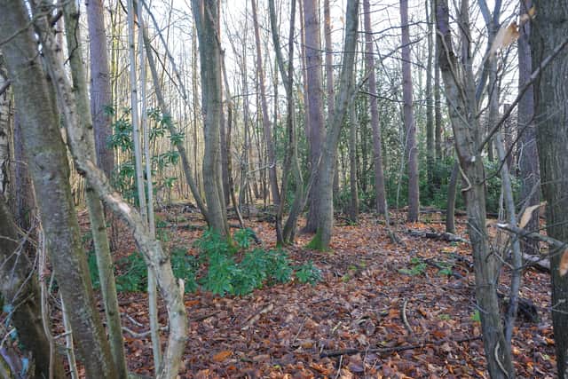 Crabbet Park near Copthorne where 1,000 new homes could be allocated. Pic by S Robards