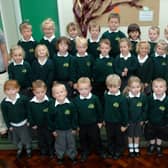 Reception class at Holmbush Primary Academy in 2011. Picture: Gerald Thompson