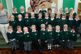 Reception class at Holmbush Primary Academy in 2011. Picture: Gerald Thompson