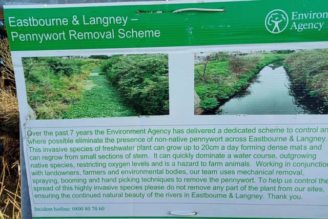 A scheme to remove an invasive species that damages wildlife has received praise for the work done in Eastbourne. SUS-220120-133732001