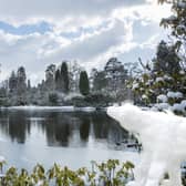 Snow at Sheffield Park and Garden, East Sussex SUS-220120-153653001