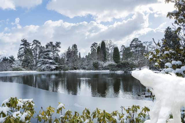 Snow at Sheffield Park and Garden, East Sussex SUS-220120-153653001
