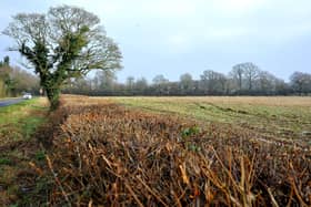 A Sussex site at risk of development