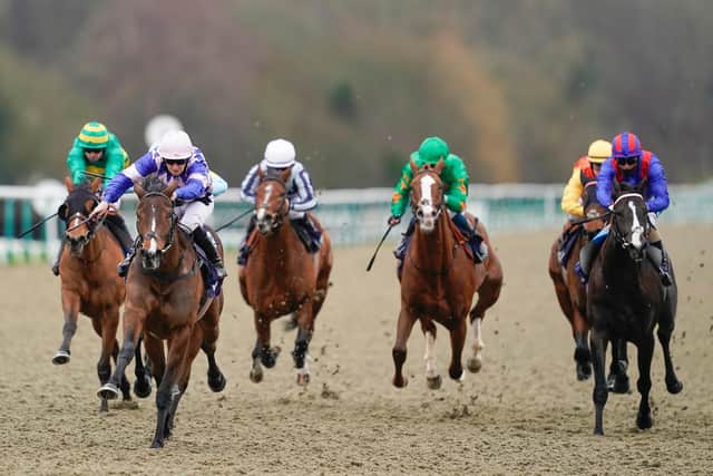 They race at Lingfield on Friday, Saturday and Sunday / Picture: Getty