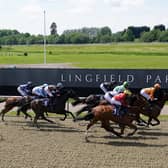 myracing, a leading provider of free horse racing tips, has run the rule over today (Wednesday)'s runners and riders at Lingfield. Picture by John Walton - Pool/Getty Images