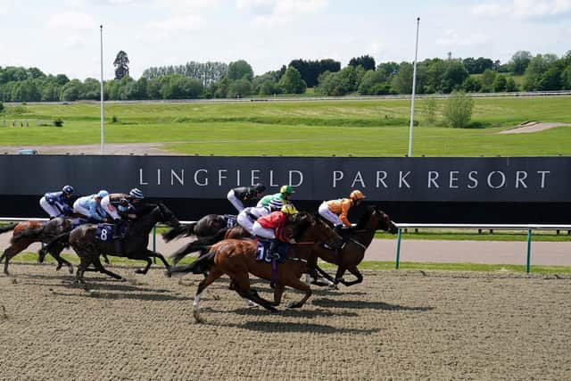 myracing, a leading provider of free horse racing tips, has run the rule over today (Wednesday)'s runners and riders at Lingfield. Picture by John Walton - Pool/Getty Images
