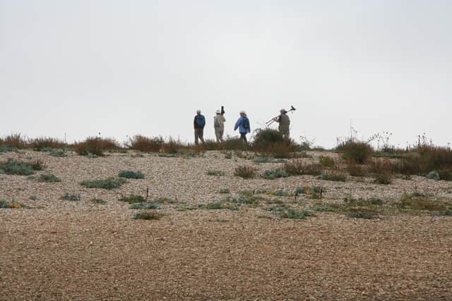 The council is looking for 'the best solution' to spikes on the Pagham spit