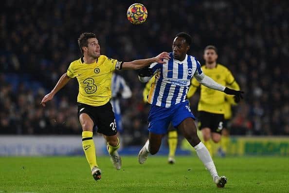 Brighton and Hove Albion striker Danny Welbeck is out of contract this summer
