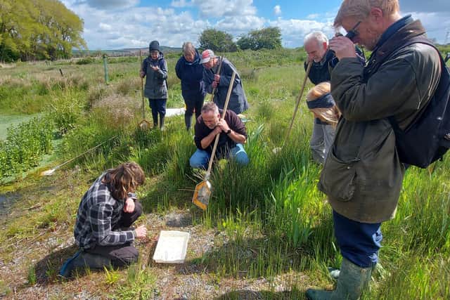 Amphibian survey during the EPIC project at Sompting Brooks, just one of the the volunteering and workshop activities that could be available at New Salts Farm