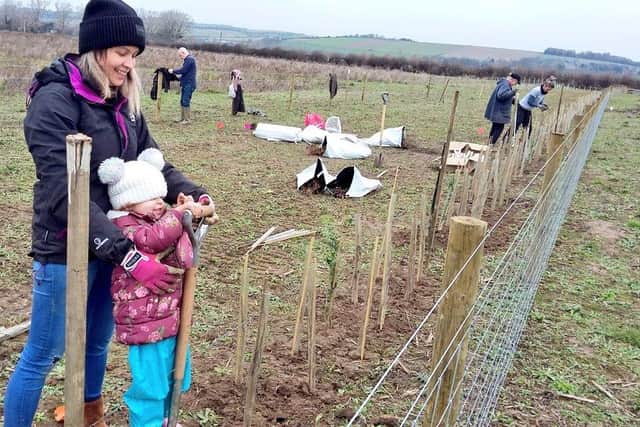 Hedge planting during the EPIC project at Sompting Brooks, just one of the the volunteering and workshop activities that could be available at New Salts Farm