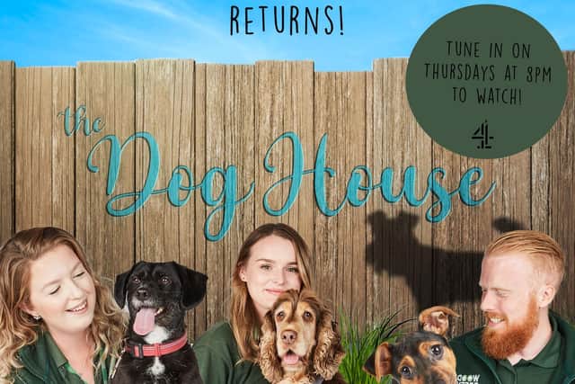 The show – which is currently airing on Channel 4 at 8pm on Thursdays – has begun its search for individuals, friends, couples and families who could offer a rescue dog a home and share their story as part of their next series.