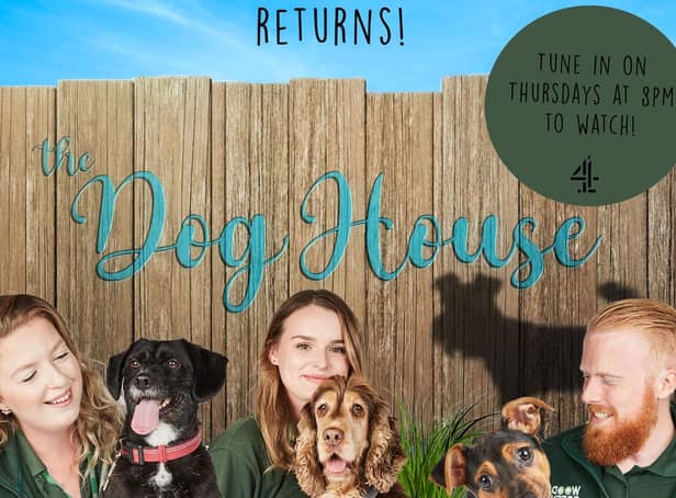 The show – which is currently airing on Channel 4 at 8pm on Thursdays – has begun its search for individuals, friends, couples and families who could offer a rescue dog a home and share their story as part of their next series.