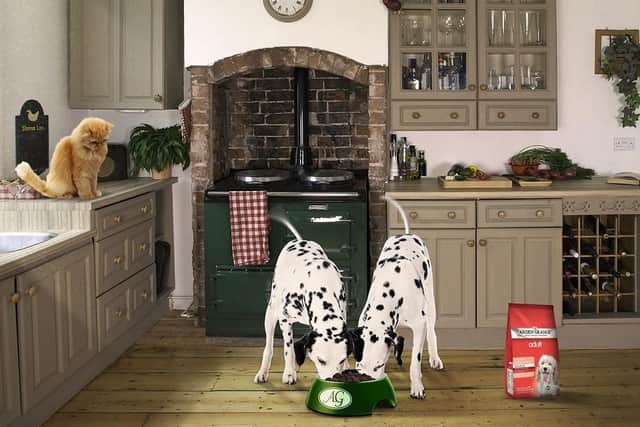 Arden Grange has launched a new national TV advertising campaign for its pet food, which is being broadcast across ITV, Channel4 and Sky networks. Picture: Wildwood PR.