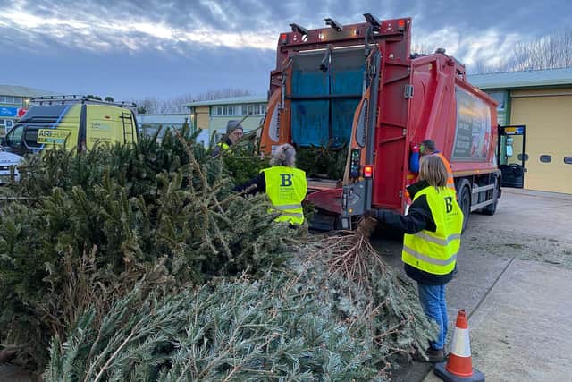 Loading Christmas trees into the Biffa lorry for recycling