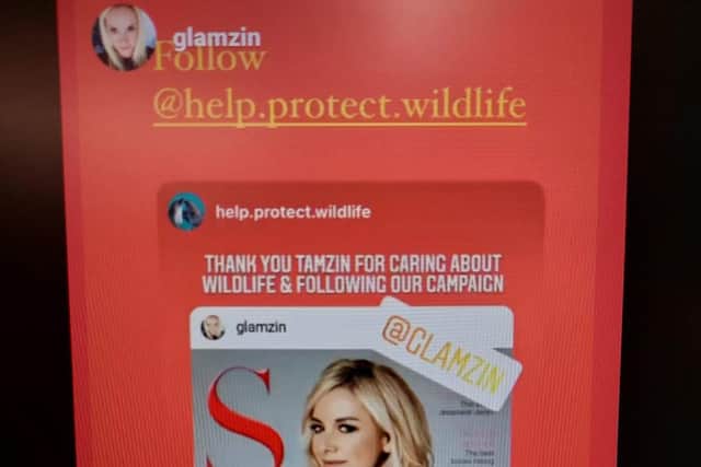 Tamzin Outhwaite supported the West Sussex environmental campaign on Instagram (help.protect.wildlife)